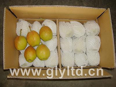 Fresh New Crop Fragrant Pear