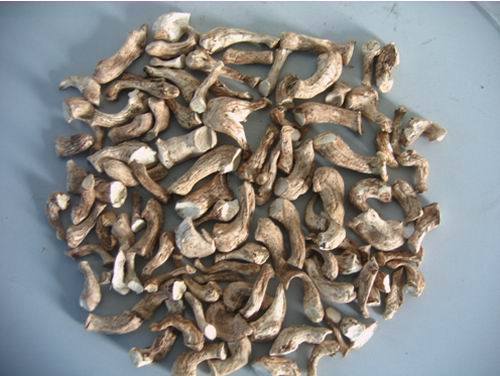 Dried Shiitake Mushrooms Stem (001)