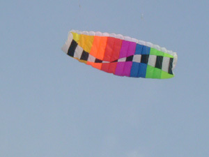 Power Kite (KX-124)