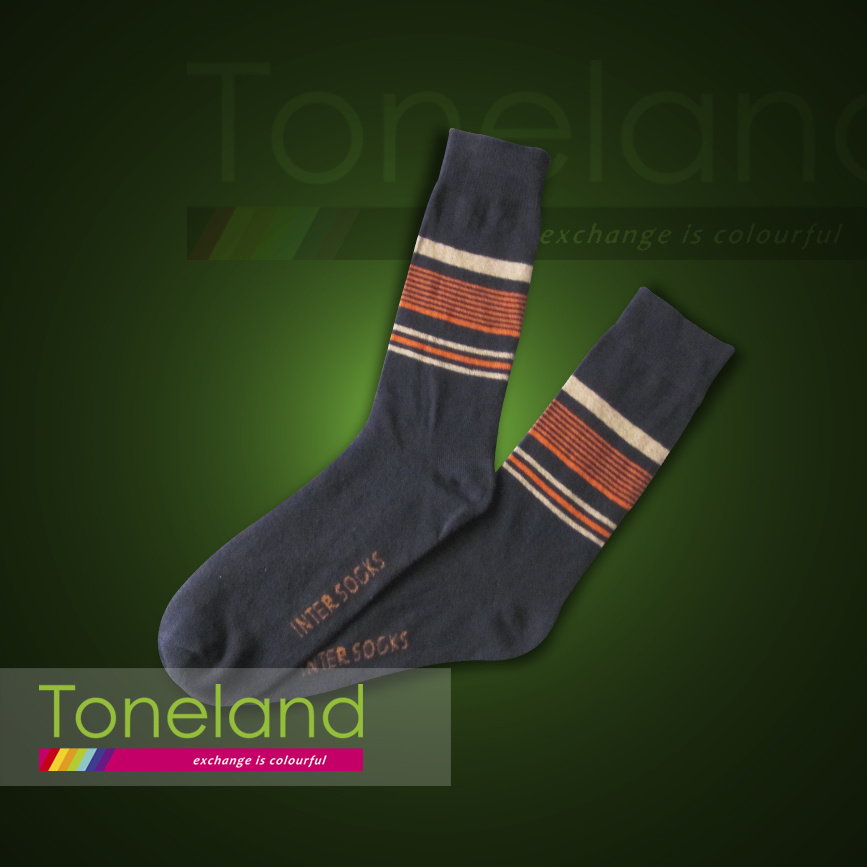 Men Business Socks (MNE0035)