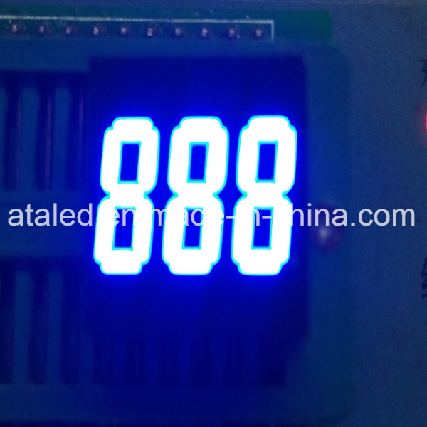 Blue LED 3 Digits 7segment Display