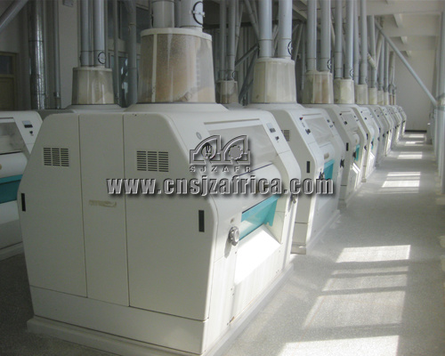300ton Per Day Flour Mill Project