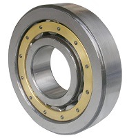Cylindrical Roller Bearing (N308EM)