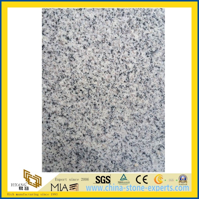 New G603/Padang Crystal -New Grey Granite for Floor/Wall Tile