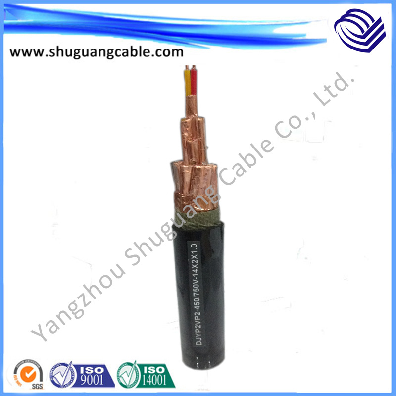 PE/PVC Shielded Computer Cable