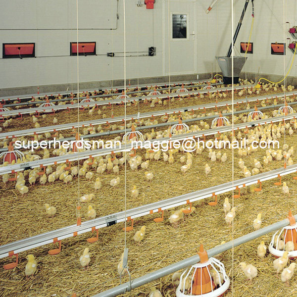 High Quality Automatic Poultry Feeding and Drinking System for Chicken