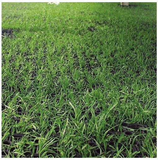 Rubber Grass Mat - Outdoor Rubber Grass Protection Mats