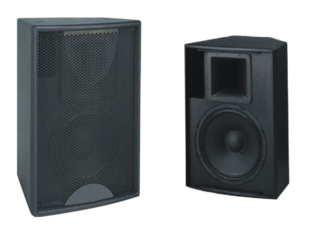 Professional 2 Way Speaker