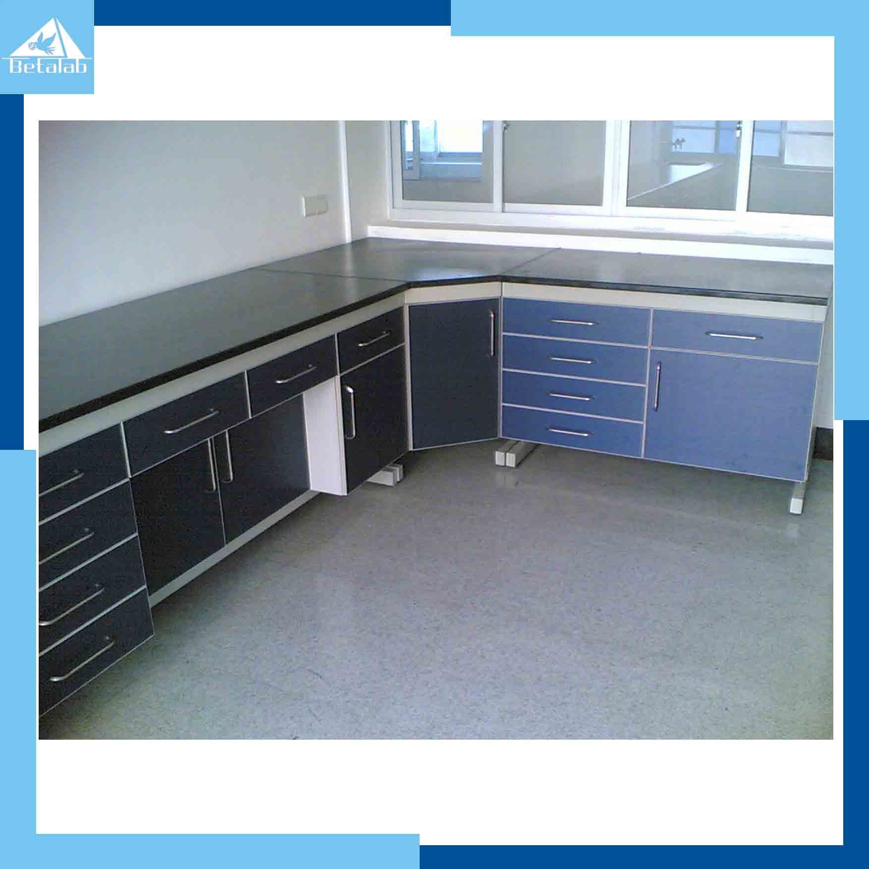 Made in China Laboratory Furniture Work Bench