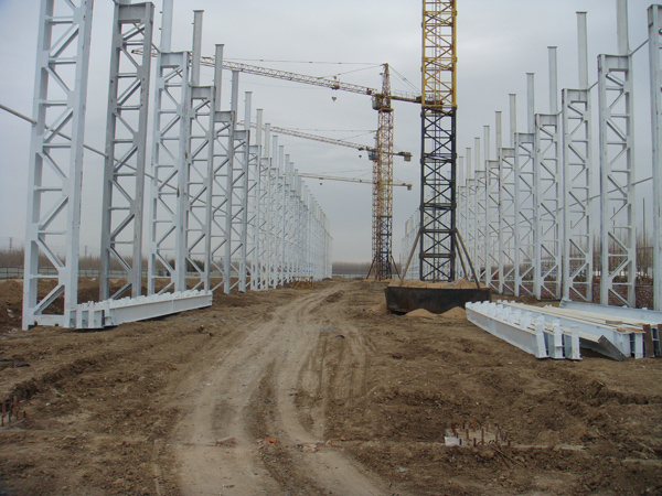 Professional Steel Structural Project