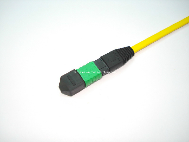 MPO Fiber Optic Patch Cord (MPO)