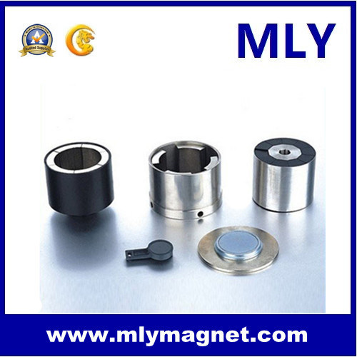 Sintered Rare Earth Permanent Neodymium (NdFeB) Magnetic Assembly (M060)