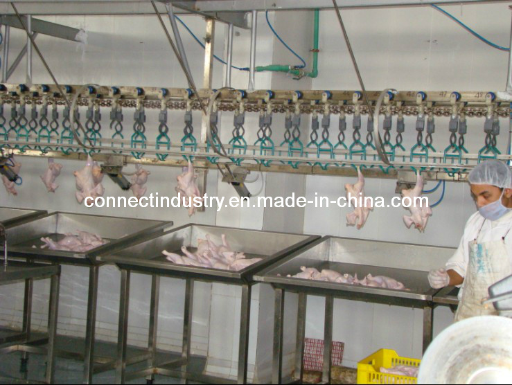 Poultry Processing Equipment