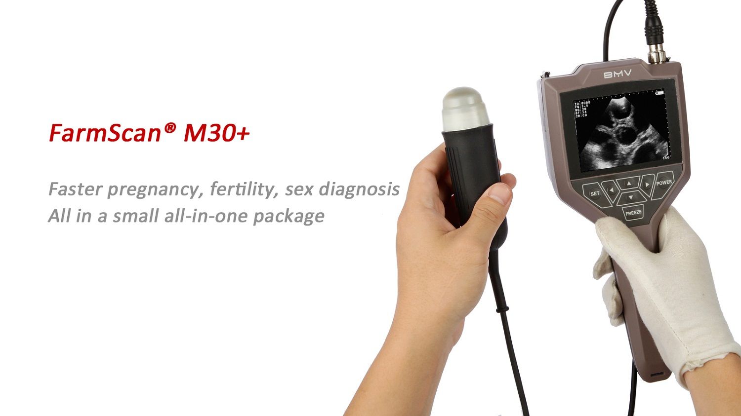 Digital Portable (Horse, Cattle, Sheep, Dog, Cat) Veterinary Ultrasound Machines