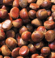 Crop 2014 Fresh Chestnuts China Best Chestnut