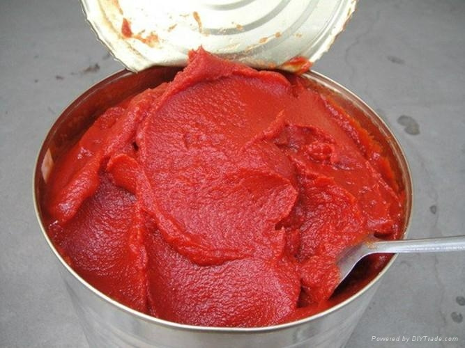 Canned Tomato Paste 28-30% Brix, Tinned Tomato Paste