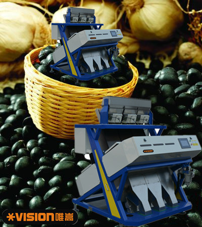 Automatic Black Soya Beans Cleaning and Grading Machine! Board Beans Processing Machinery