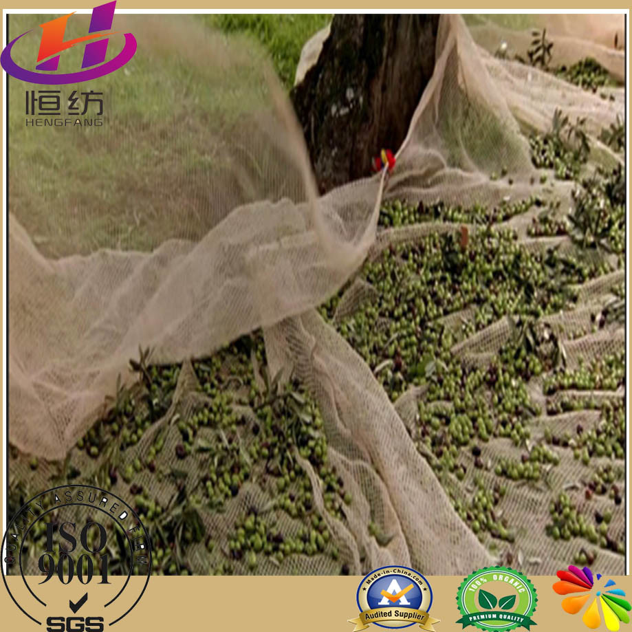 HDPE Agricultural Olive Nets/Harvest Nets for Collecting Fruits