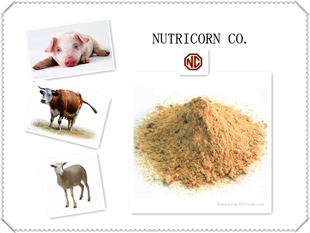 Nutricorn 98.5% L-Lysine Feed Additive with High Quality