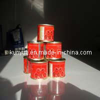 Canned Tomato Paste 70g with High Quality