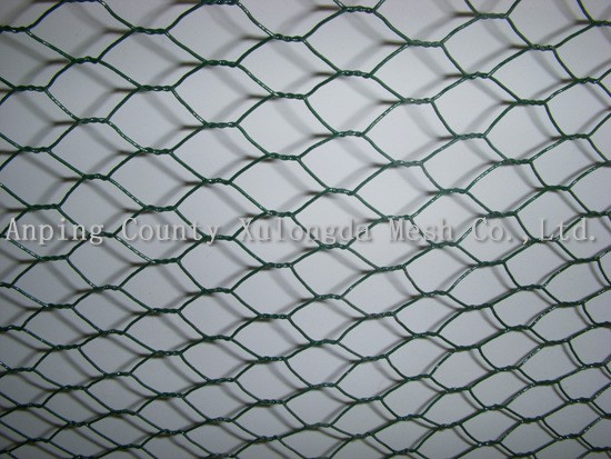 Hexagonal Wire Mesh