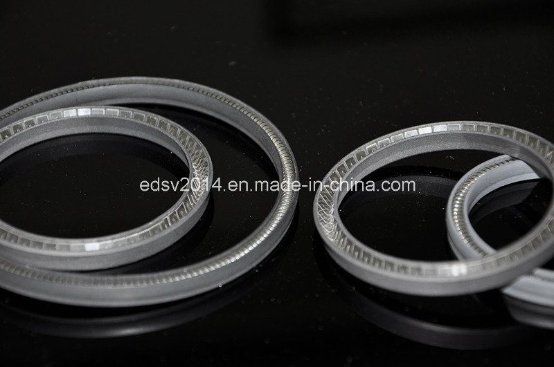 High Performance Spring Energized Seal