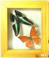 Butterfly Gifts,Butterfly Crafts