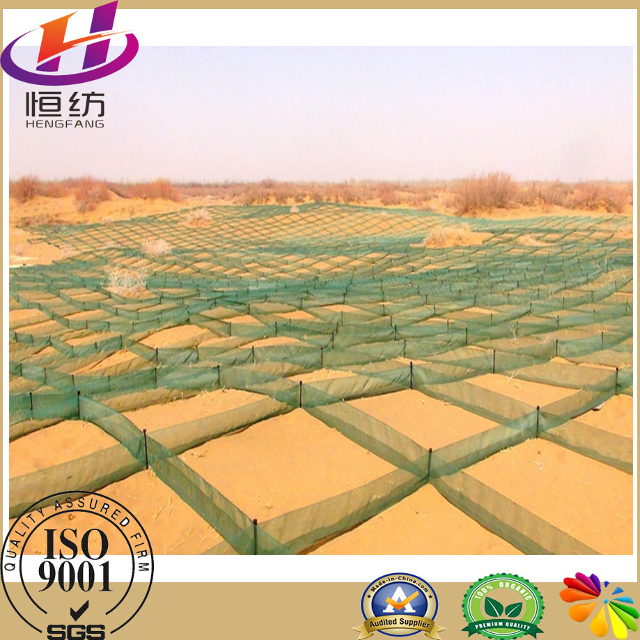 Virgin HDPE Anti Sand Net Made in China