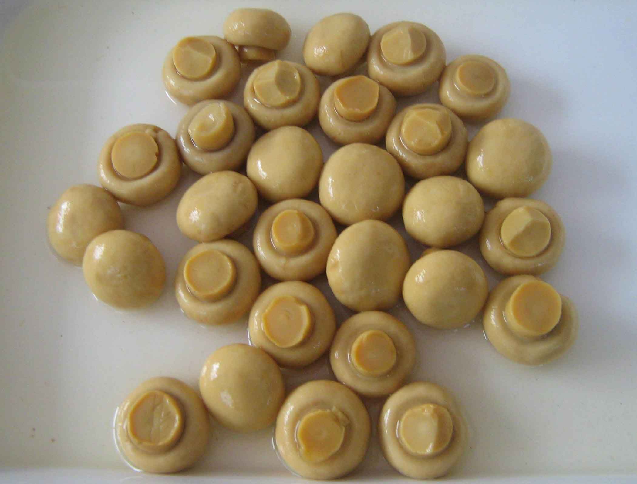 Canned Mushroom Whole with White Colour for Gcc Country (Factory Price, HACCP, ISO)