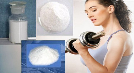 Cutting Cycle Boldenone 17-Acetate Powders Hormone for Muscle Growth CAS No. 2363-59-9