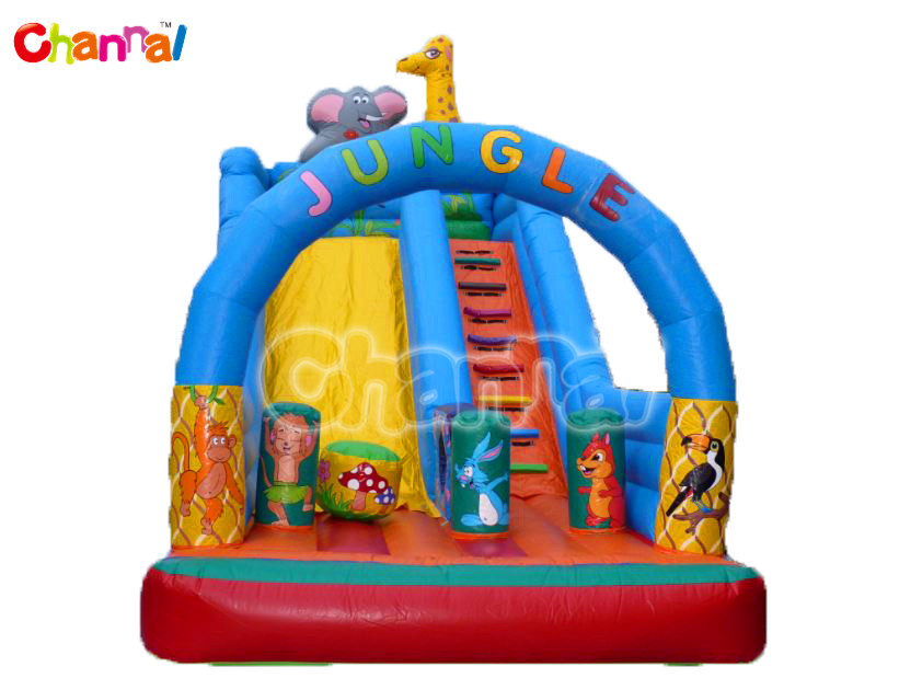 Inflatable Dry Slide/Inflatable Commercial Slide Bb136