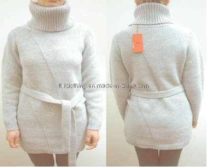 Women Sweater (3873823)