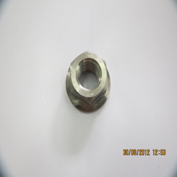 Flange Nut Fit for Flange Bolt