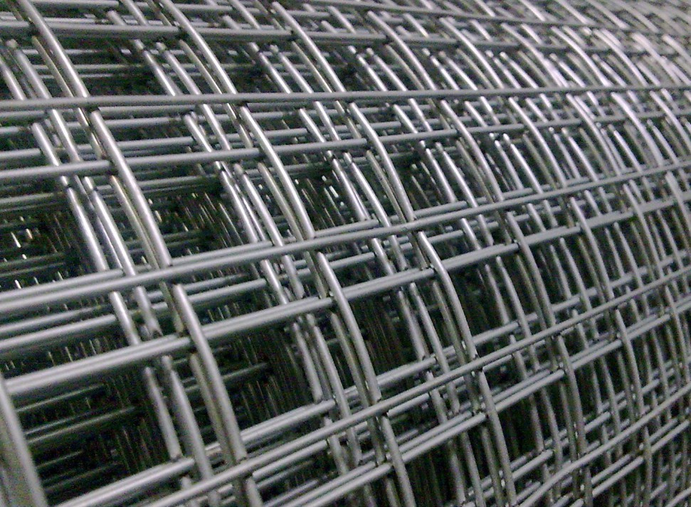 Welded Wire Mesh