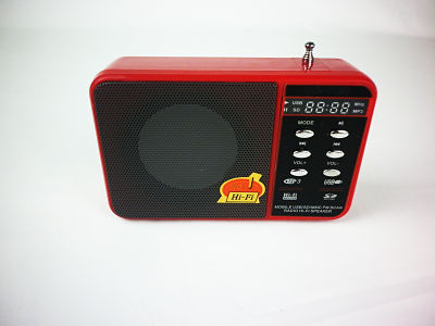 Multi Card Reader Speaker (DS-WS-3166)