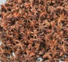 Star Aniseed