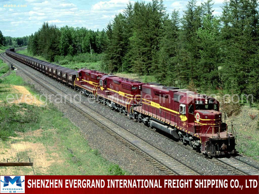 Professional China Cis Railway Transport to Tashkent