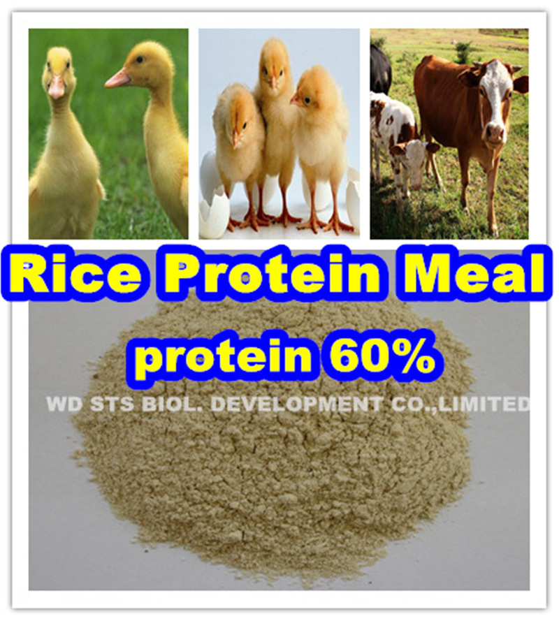 Rice Protein 60min for Animal Feed