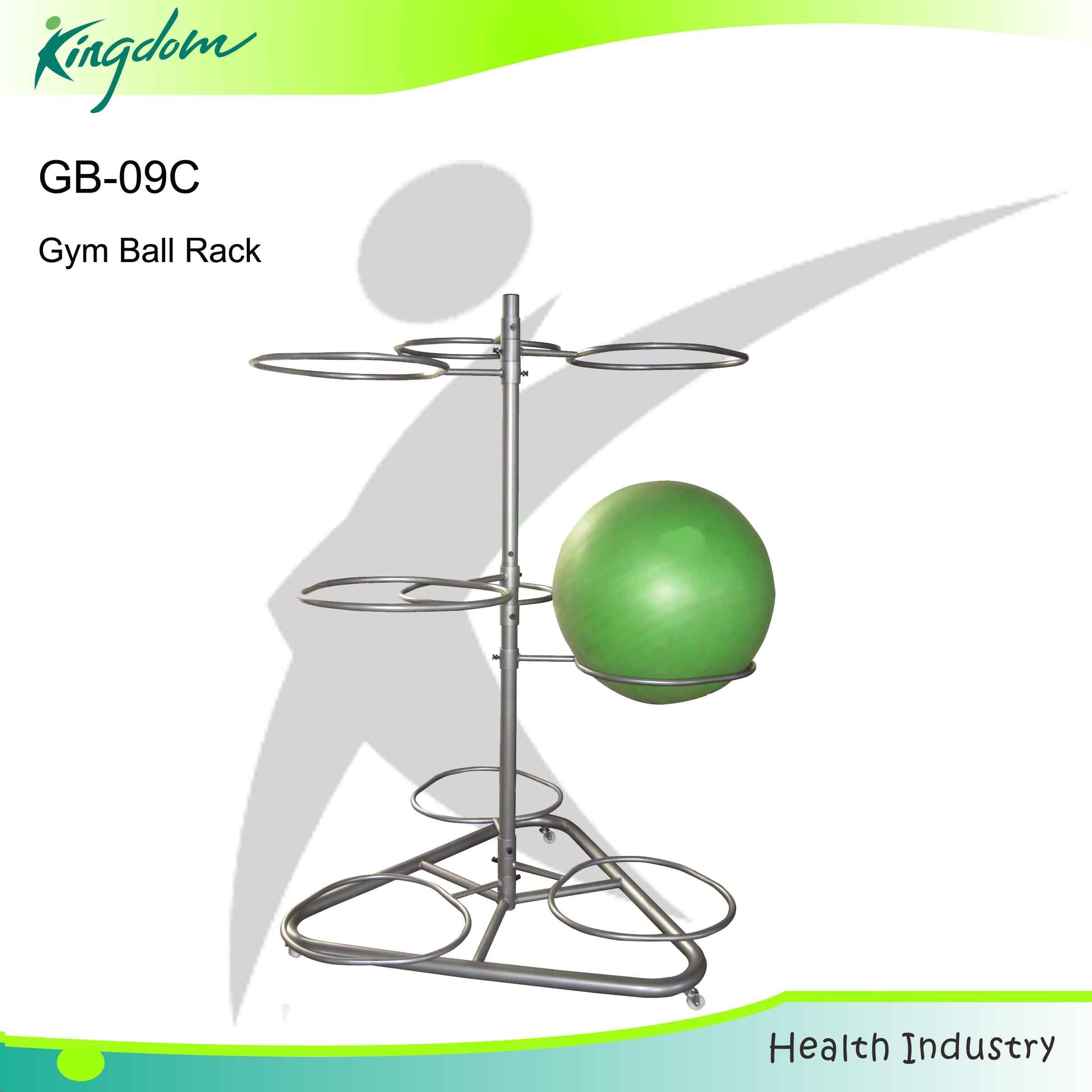 Gym Ball Rack Fitness Equipment Body Building (GB-09C)