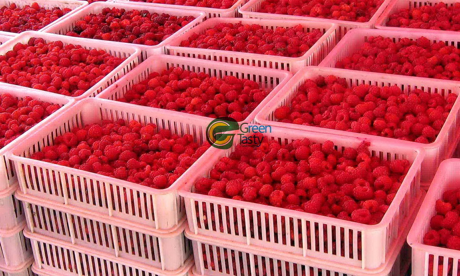 IQF Frozen Chinese Raspberries Fruits