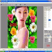 Professional Lenticular 2D to 3D Software