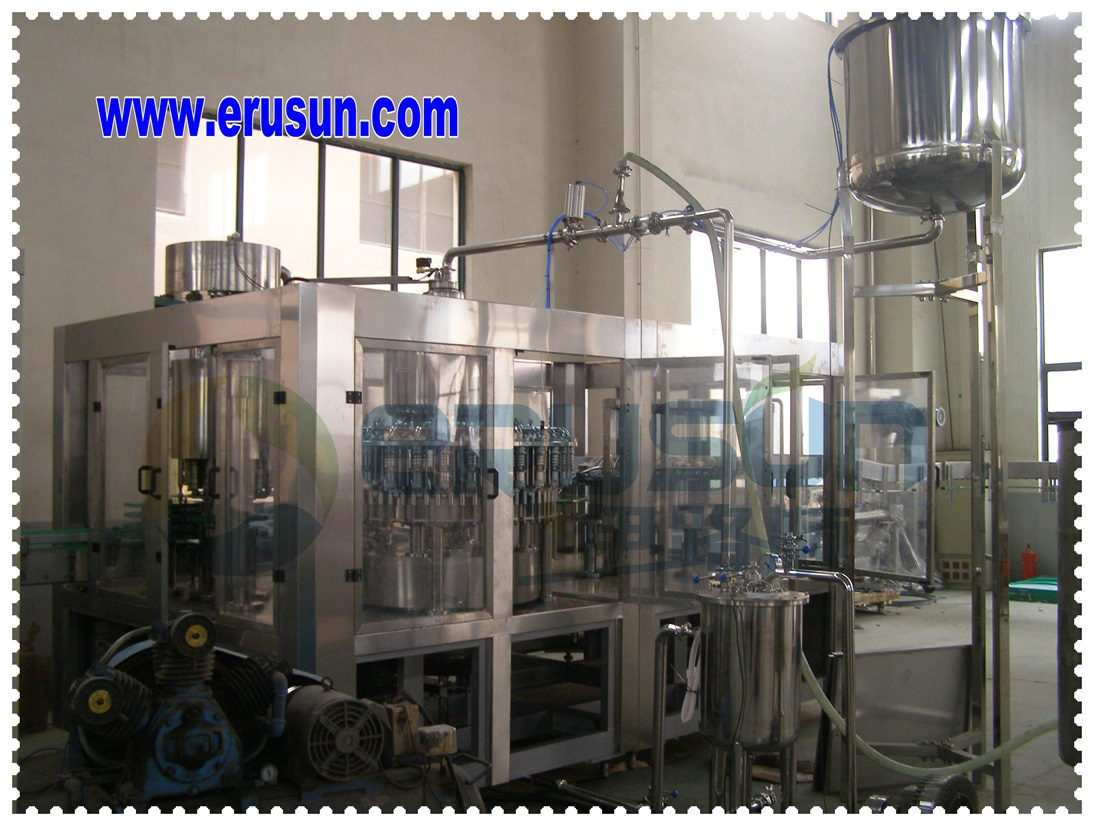 Fresh Juice Drink Filling Machine in Pet Bottle of 600ml