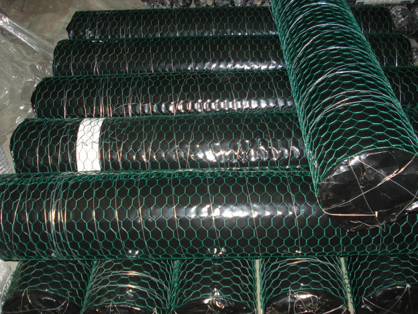 PVC Coated Hexagonal Wire Netting