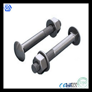 Stainless Steel Cup Head Square Neck Bolts