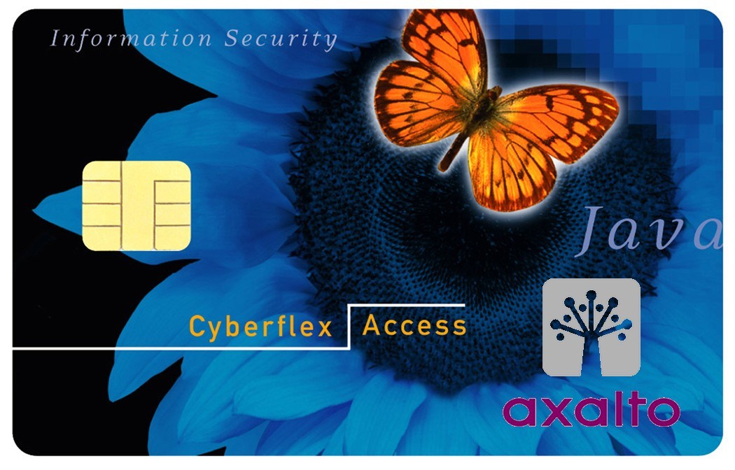 RFID Contact IC Sle5542/Sle4442 Smart Card (SLE4442/SLE5542)