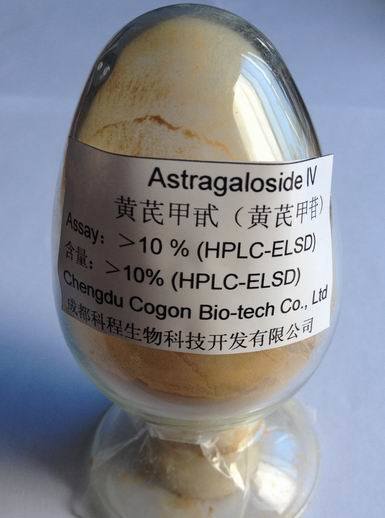 10% Astragaloside IV (003)