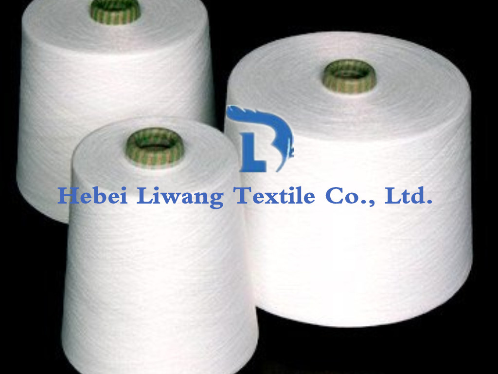 40s Virgin/Closed Virgin/Recycle Polyester Spun Yarn