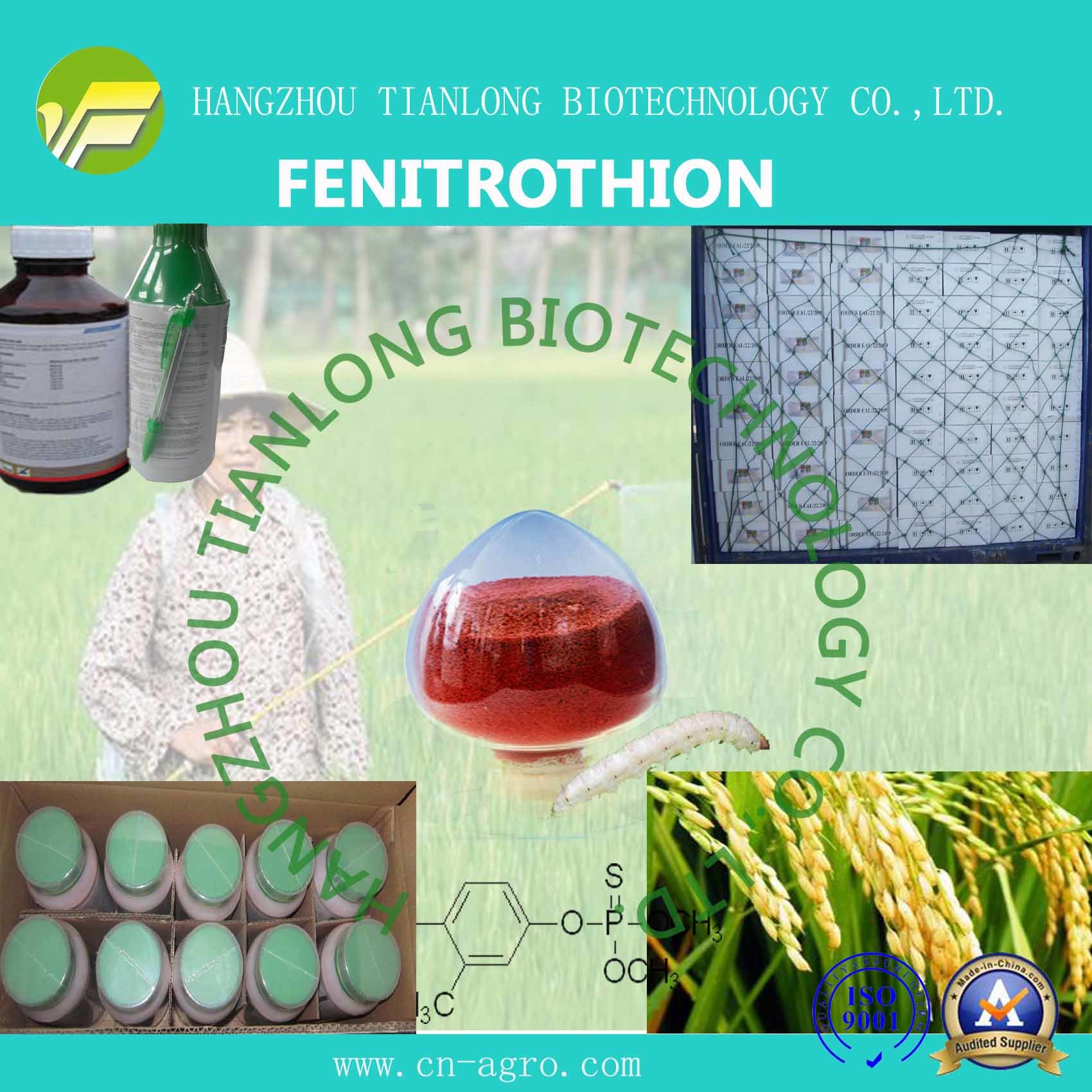 Good Quality Insecticide Fenitrothion (95%TC, 40%EC, 450EC, 50%EC, 40%WP, 500ULV, 960ULV)