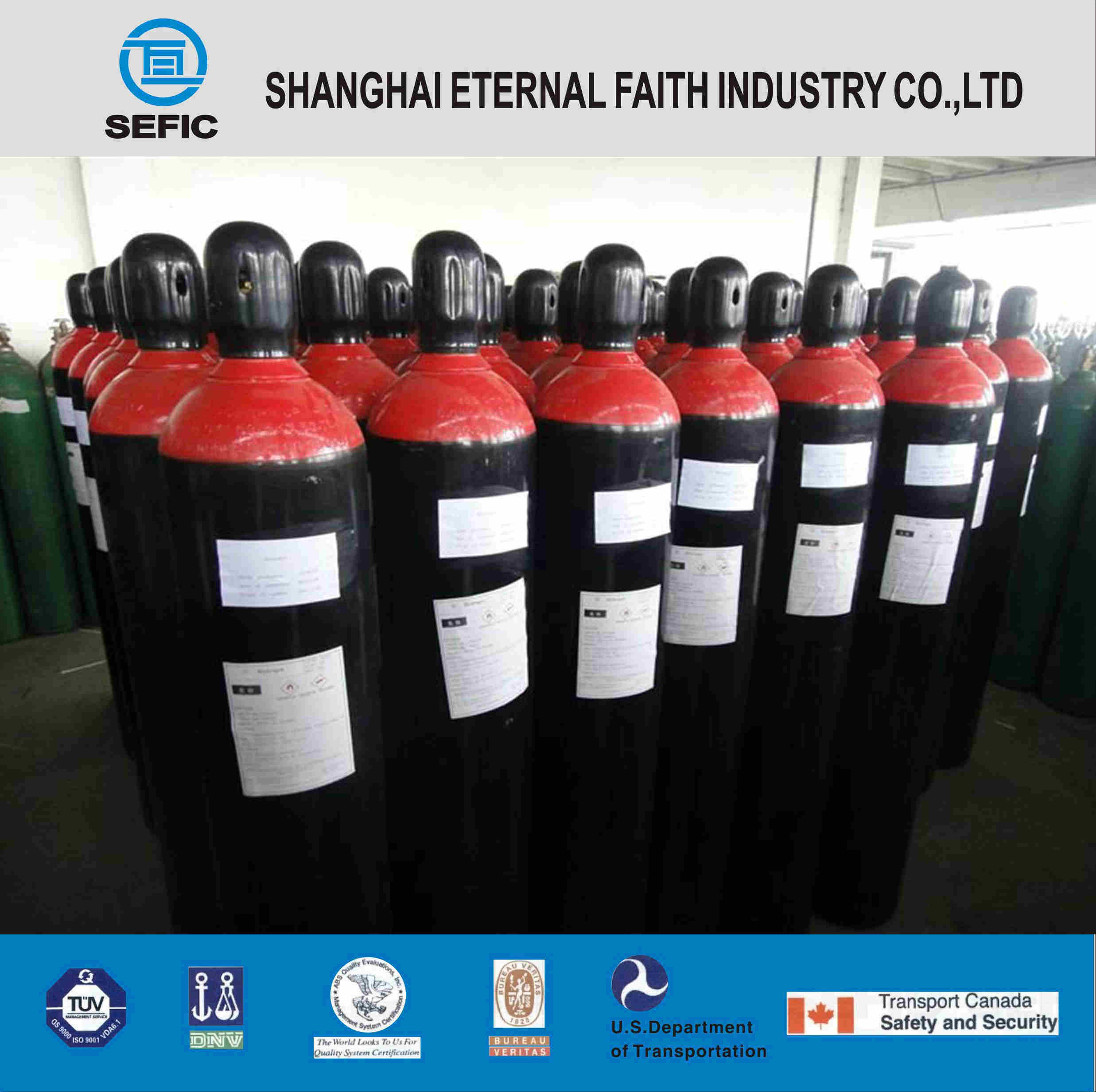 2014 Seamless Steel Gas Cylinder