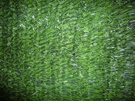 Artificial Grass